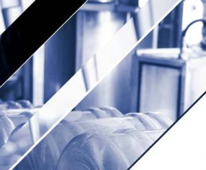 Informe Sectorial Químico 2014 CESCE